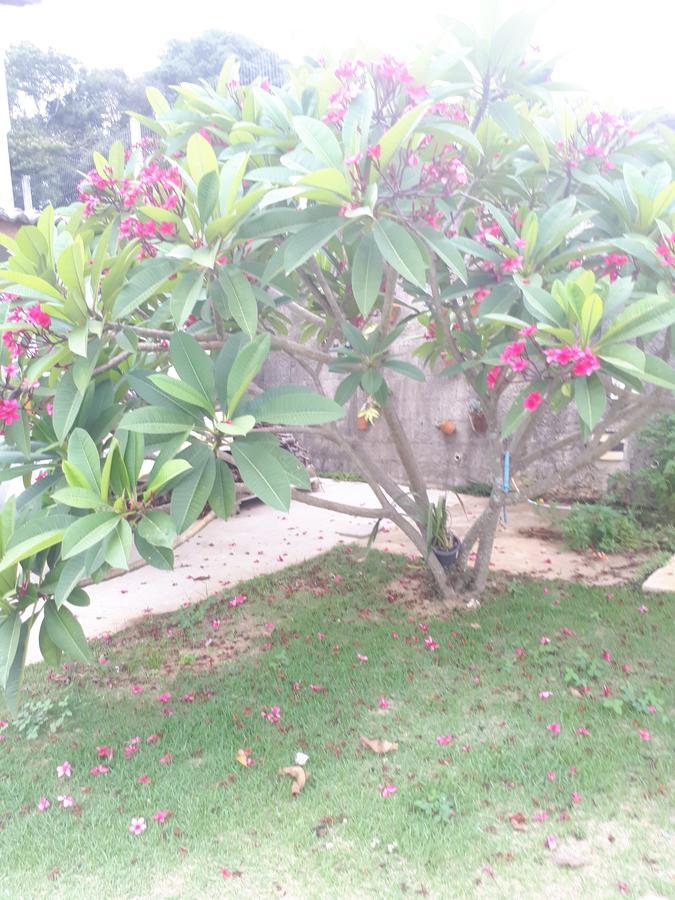 Vila Chacara Leolud Socorro  Exteriér fotografie